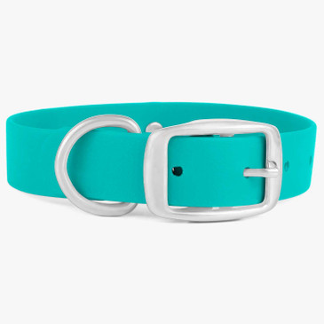 Waterproof dog collar with buckle Waterproof dog collar with buckle